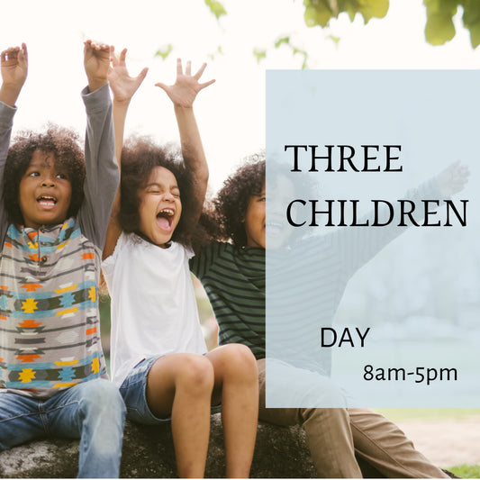 ◆ Day ◆ 3 Children (8AM-5PM)