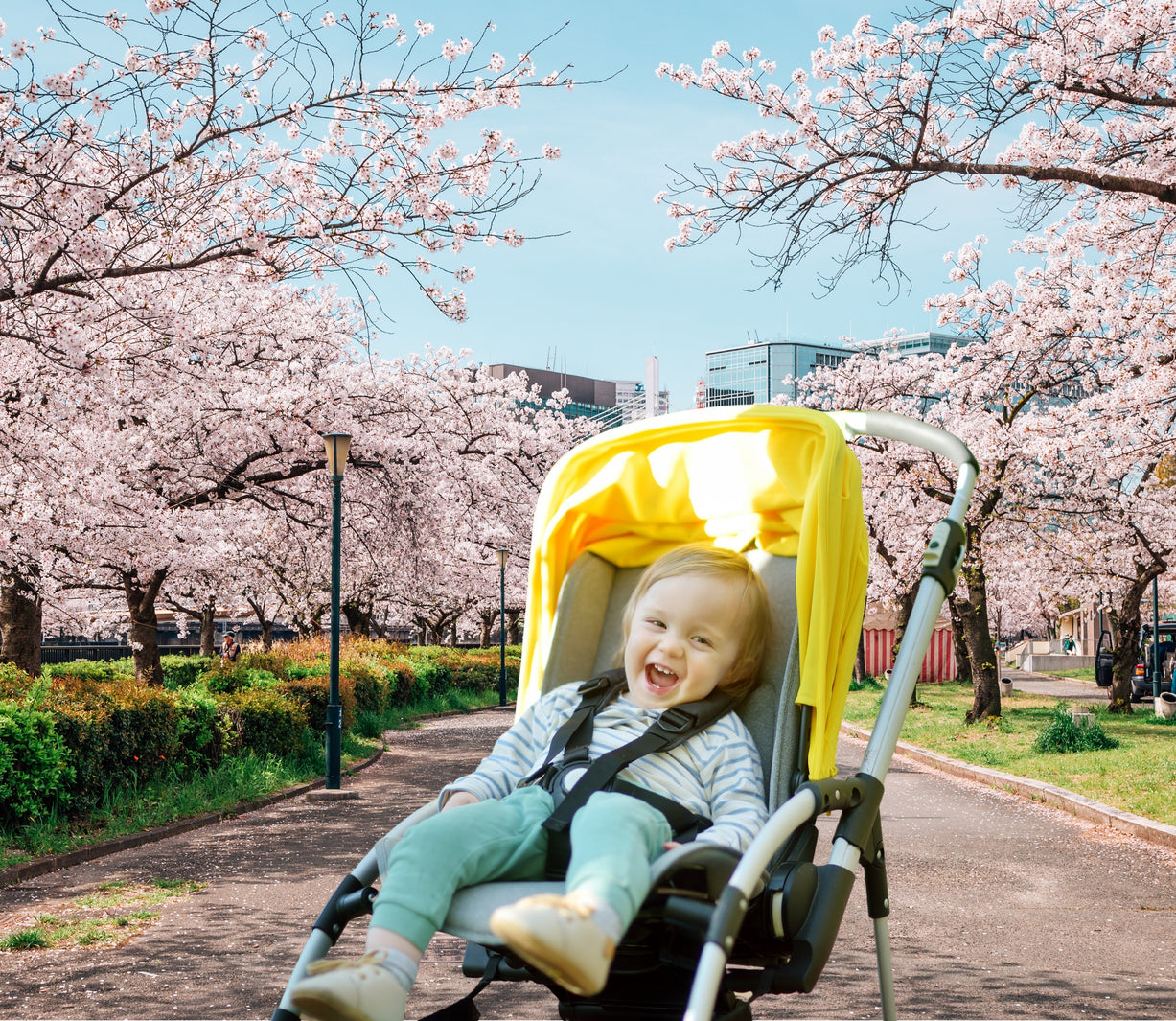 Should you bring a stroller to Japan？