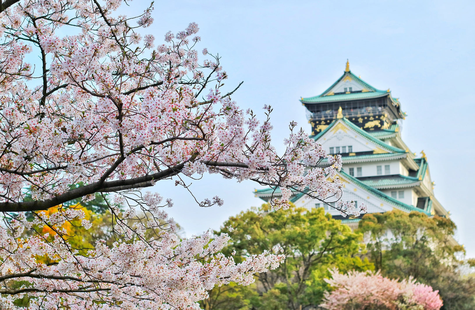 English Speaking Babysitting Services Now Available in Osaka!